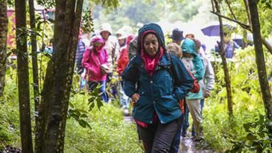 Senderismo en los Tilos de Moya