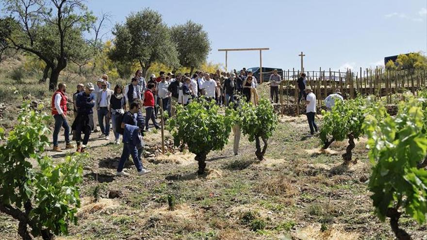 El Jardín de las Iguales recupera valle y memoria