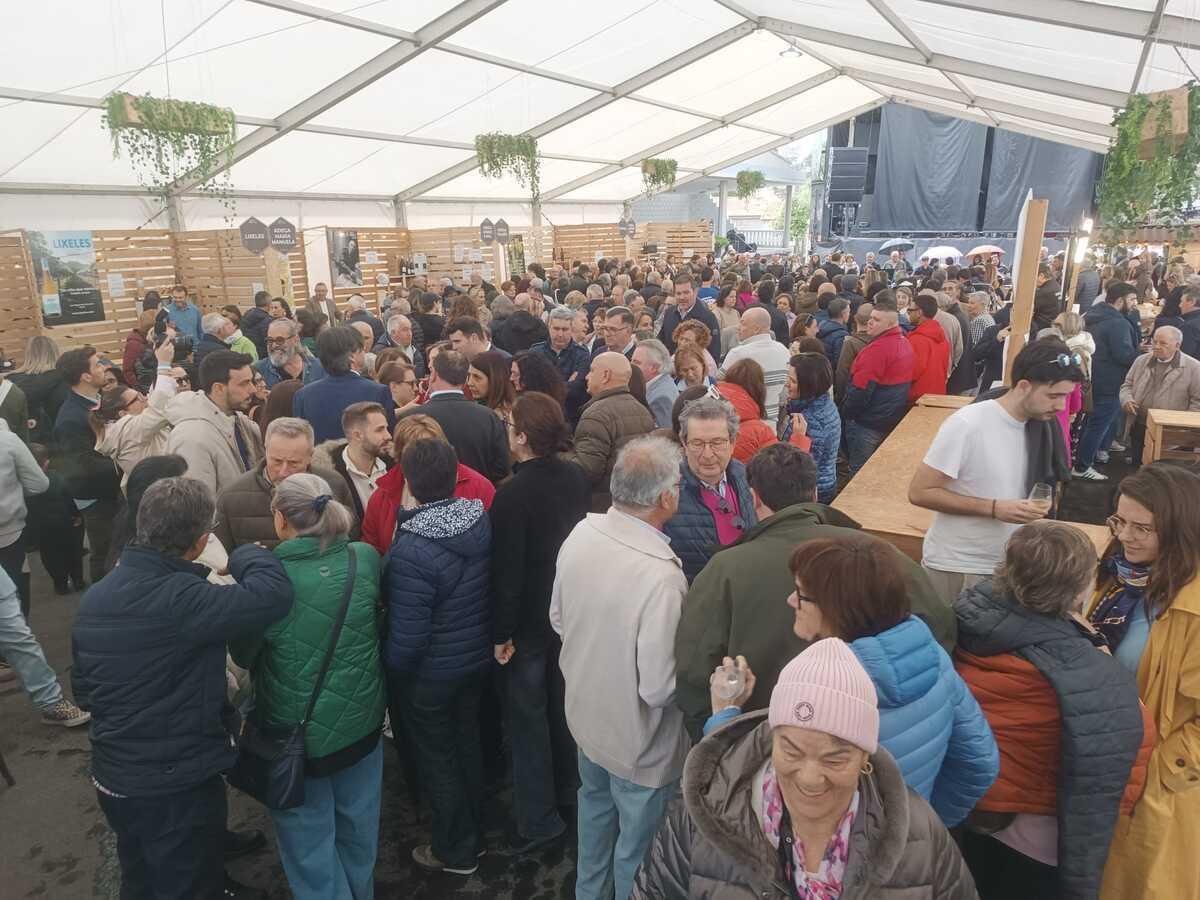 Asistentes bajo carpa degustando en los estands de las distintas marcas de Ribeira da Ulla en Vedra