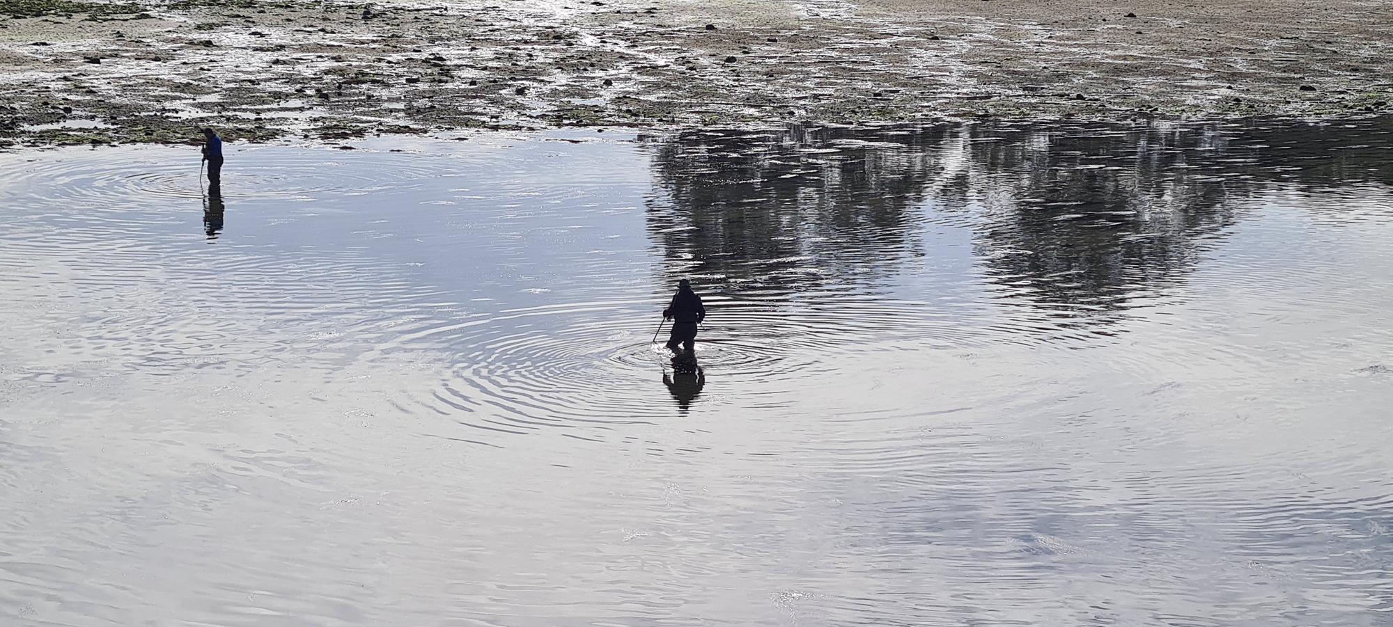 La pesca artesanal del chopo subsiste bajo el puente de A Toxa