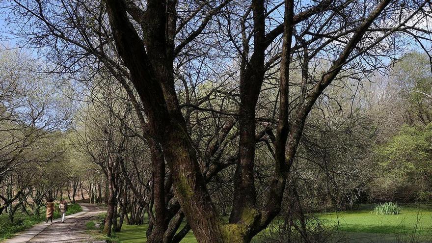 La UVigo edita una guía para descubrir el patrimonio natural del campus
