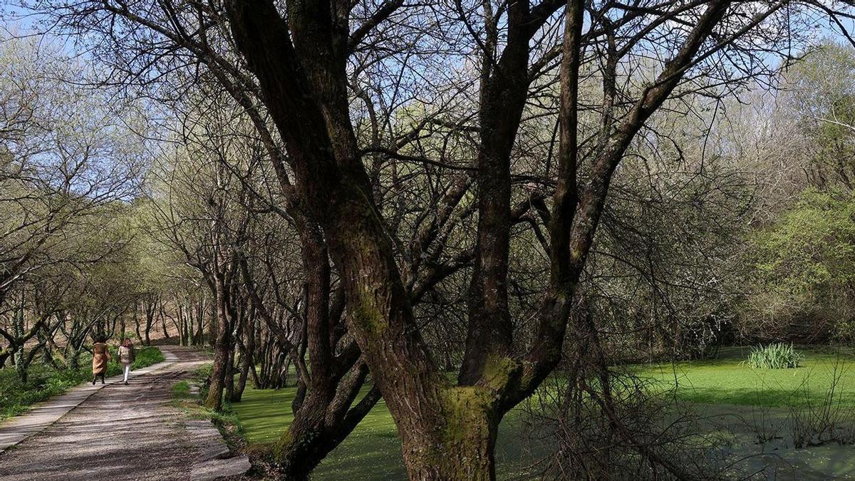 Una de las sendas peatonales que permiten disfrutar del patrimonio natural del campus de As Lagoas-Marcosende.
