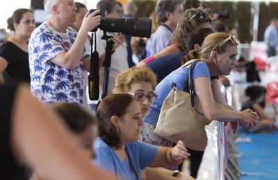 Castelló acoge el Campeonato de Belleza Canina