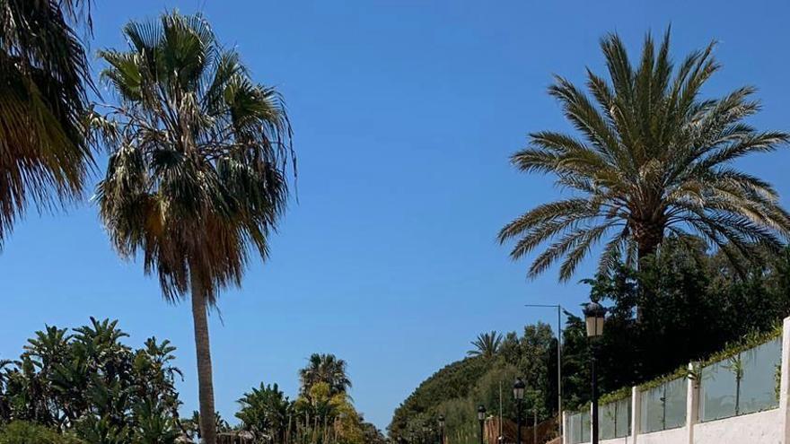 Operarios trabajan en el tramo de senda de la playa de El Rodeíto