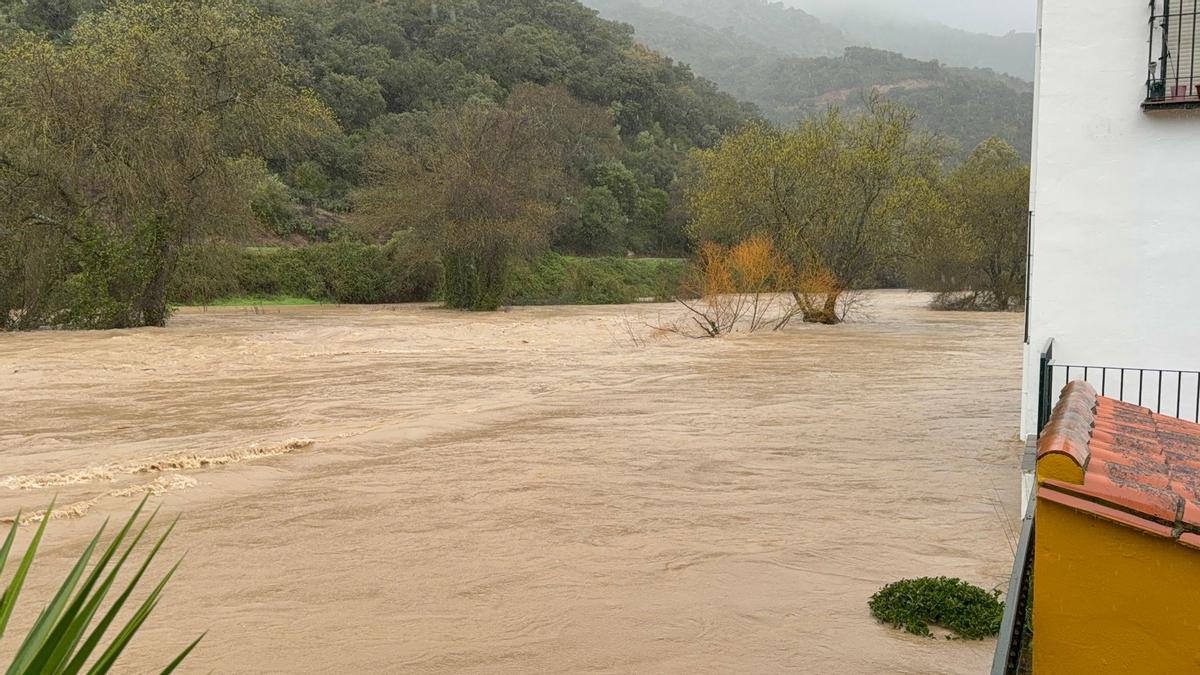 El río Guadiaro desbordado a la altura de Cortes de la Frontera.