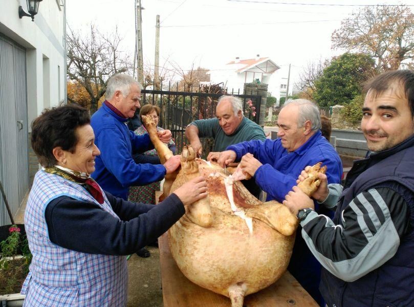 Matanza tradicional en Aliste