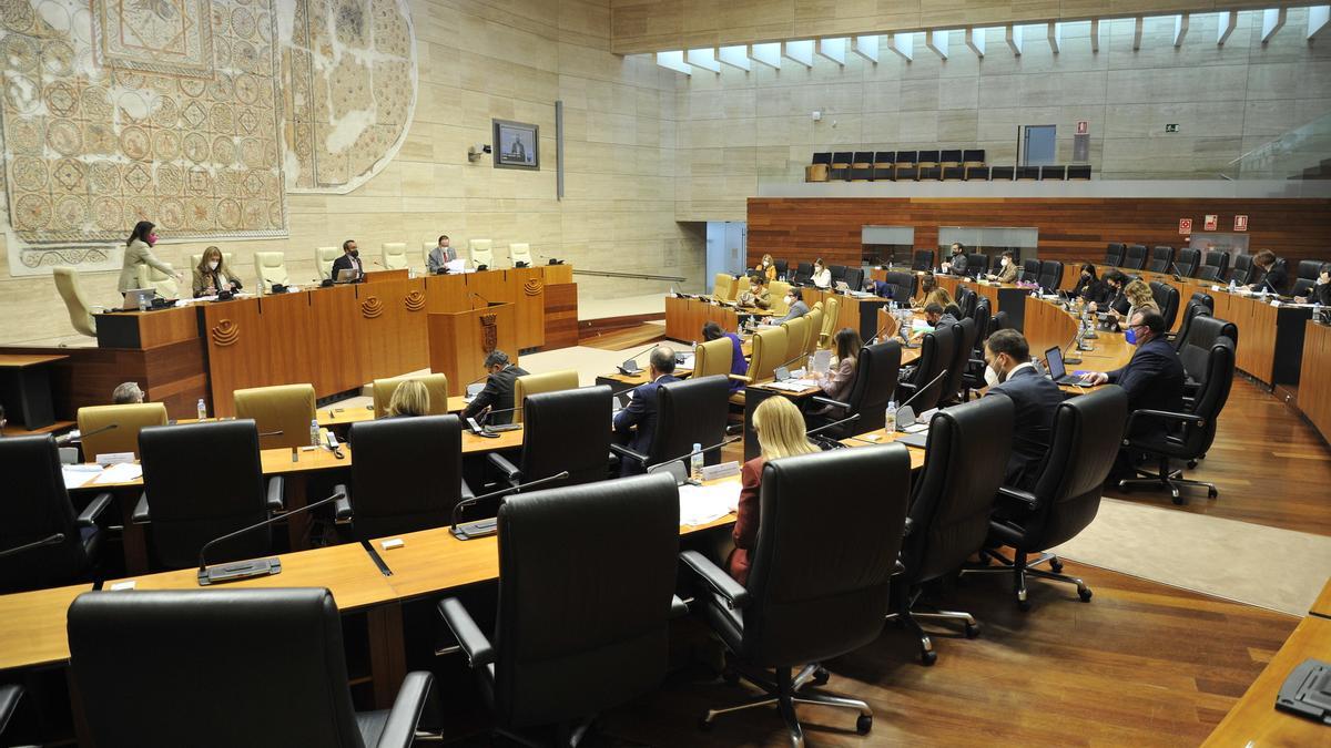 Panorámica del hemiciclo durante la celebración del pleno de la Asamblea.