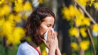 ¿Cómo se pueden prevenir las alergias en otoño?