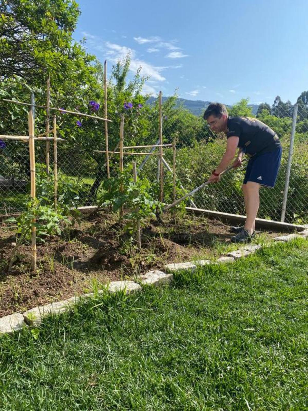 Mario Rodríguez (PSOE Moaña), cuidando su huerta.   | // FDV