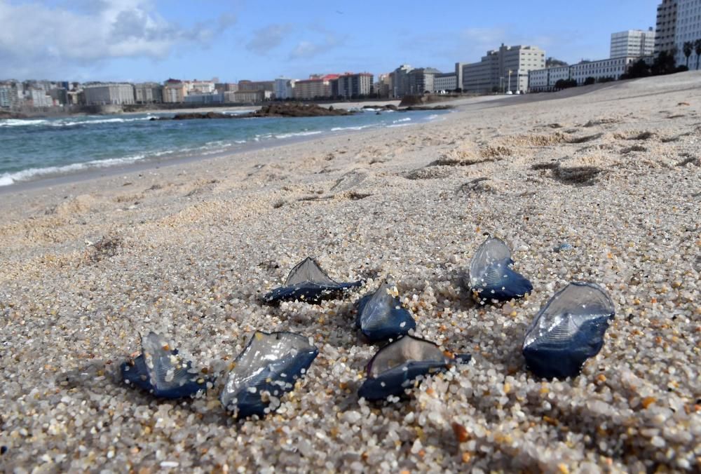 El temporal lleva carabelas portuguesas a Riazor