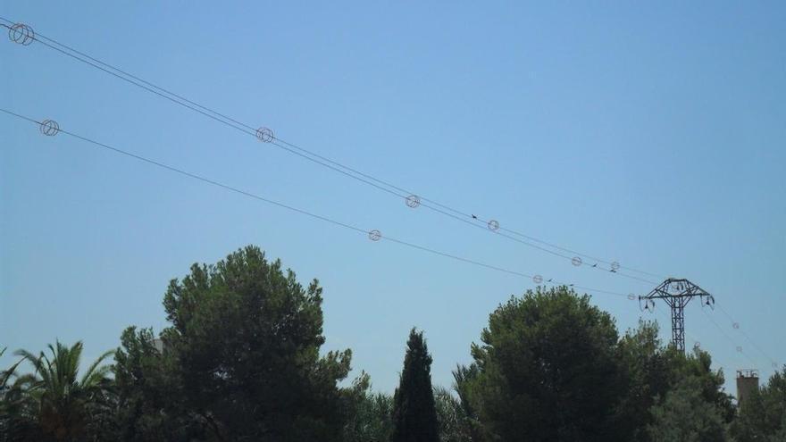 El Gobierno regional concede 1,45 millones para reducir la electrocución de aves en las líneas eléctricas