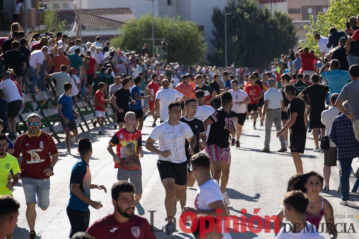 Tercer encierro Feria del Arroz en Calasparra