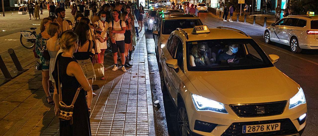 Largas colas cada noche para tomar un taxi en el puerto - Diario de Ibiza