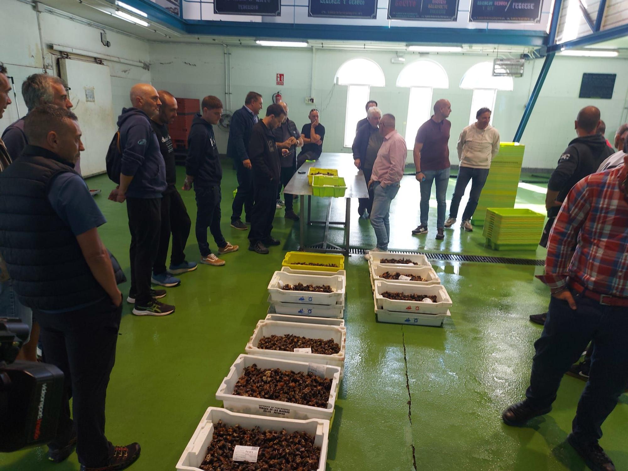 En imágenes: La primera subasta de percebe de la temporada en la rula de Puerto de Vega