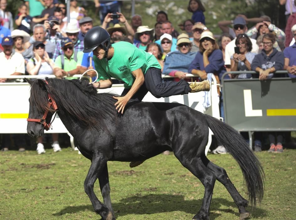 Fiesta del Asturcón en El Sueve