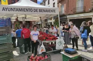 La Feria del Pimiento y Productos de la Tierra de Benavente vuelve el 29 y 30 de septiembre