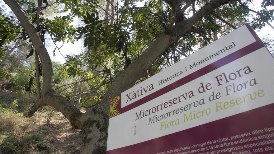 El Consell amplía la protección del entorno del Castell de Xàtiva y la Cova Negra