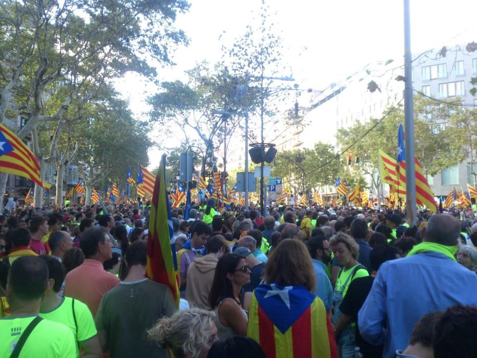 El Solsonès a la Diada 2017