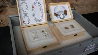 El Toll fa emergir restes de crani i apunta al canibalisme neandertal