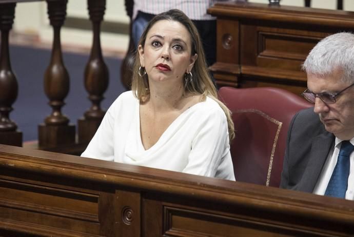 Pleno en el Parlamento de Canarias