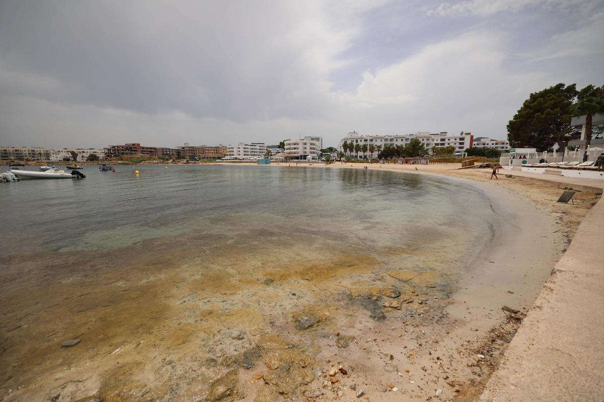 Galería: cerrada al baño la Platja d'en Xinxó por vertidos fecales