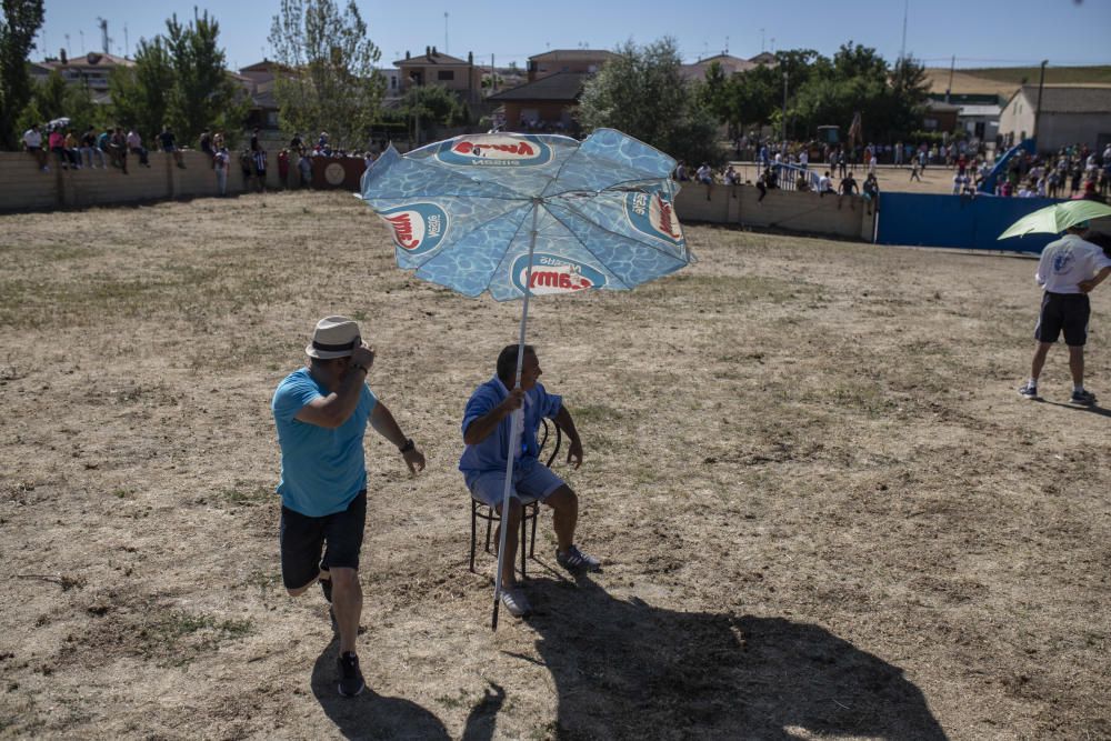 Fiestas en la provincia | Encierro en Fuentelapeña