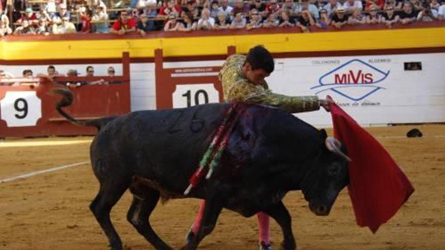 Tomás Campos da un pase de pecho al novillo.