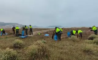 O obradoiro Coidando Miñor V actúa contra as invasoras