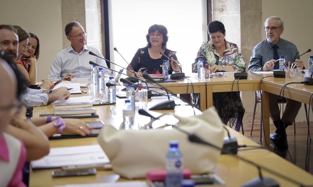 El ple de l’AVL en una imatge d’arxiu