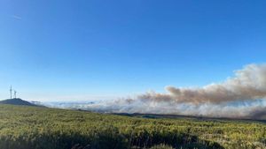 Incendio de nivel 1 en un parque eólico en Hermisende.