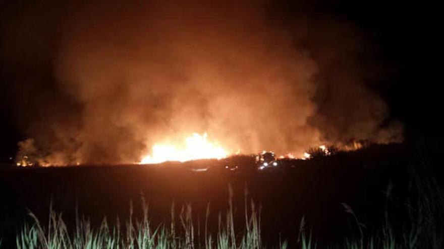 Imagen del incendio en el marjal dels Moros. Foto: P. Quiles.