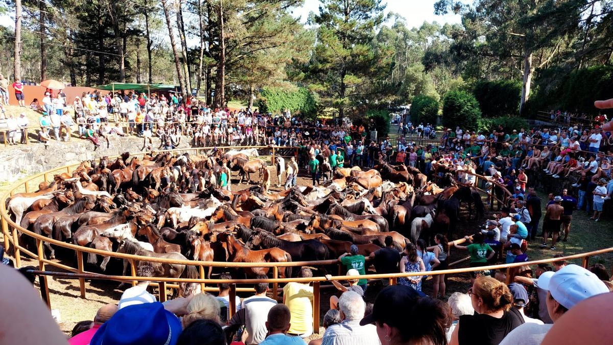 Aspecto general del curro, con un lleno total