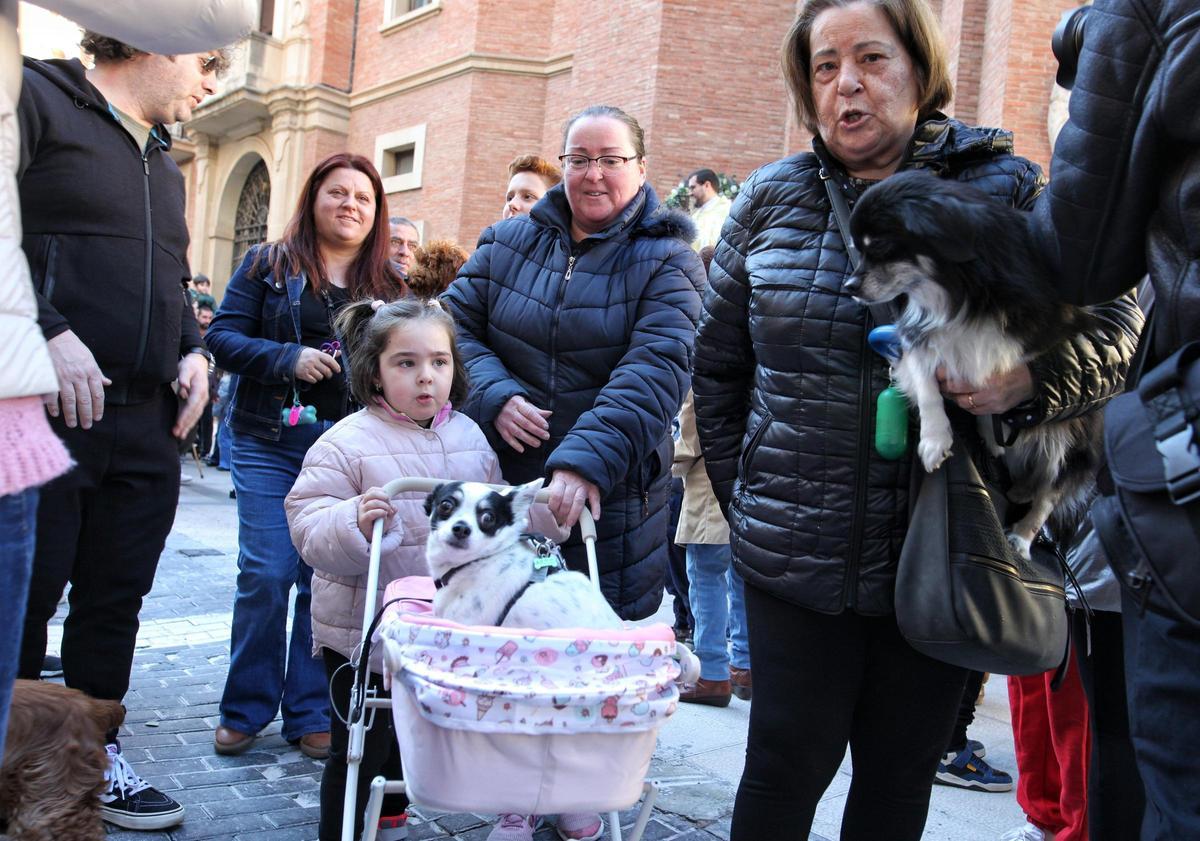Imagen de archivo de la bendición de los animales con motivo de la fiesta de San Antonio Abad.