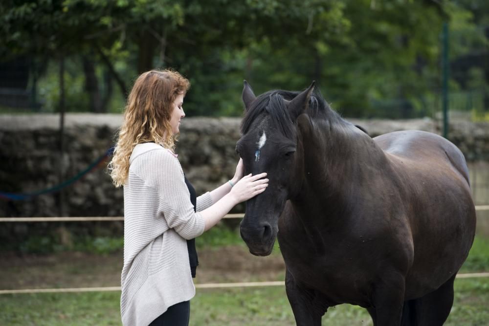 'Coaching' con caballos para empresarios