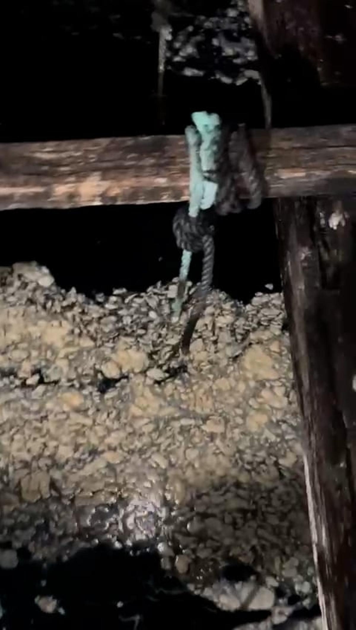 Verteduras detectadas por profesionais da pesca e do marisqueo na Pobra.