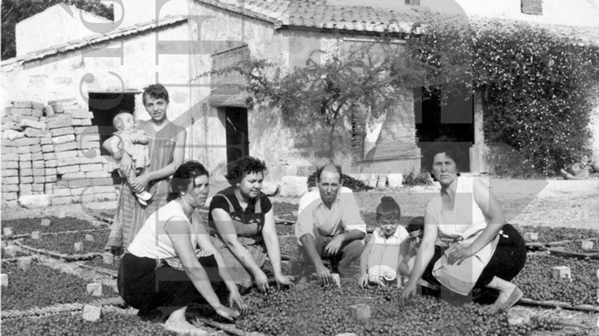 Imagen histórica de "l'escaldà de la pansa" del archivo de la Fundació Cirne