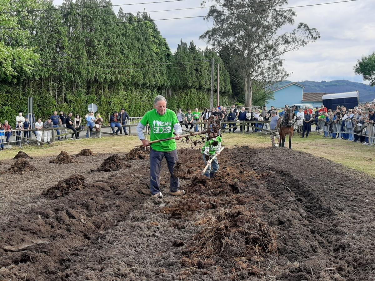 En imágenes: la exhibición de labranza y de pastoreo en Llanera