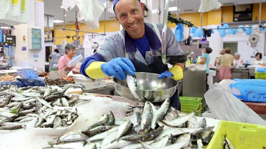 Sardina para San Juan: precio, conservación y receta