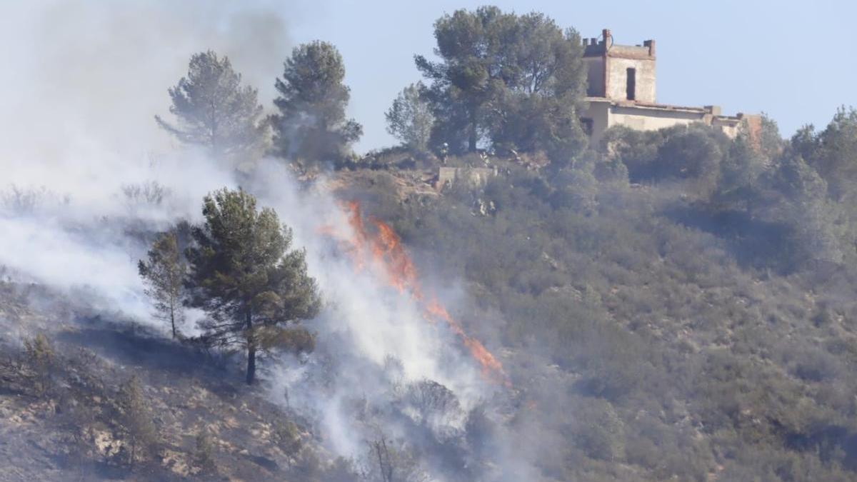 Los bomberos dan por estabilizado el incendio forestal de Real