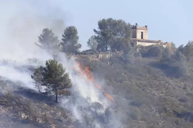 Los bomberos dan por estabilizado el incendio forestal de Real