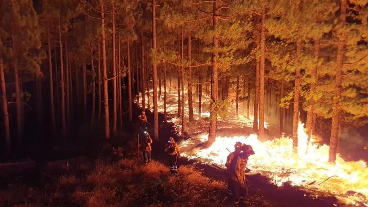 Bomberos trabajando en la extinción de un incendio forestal.