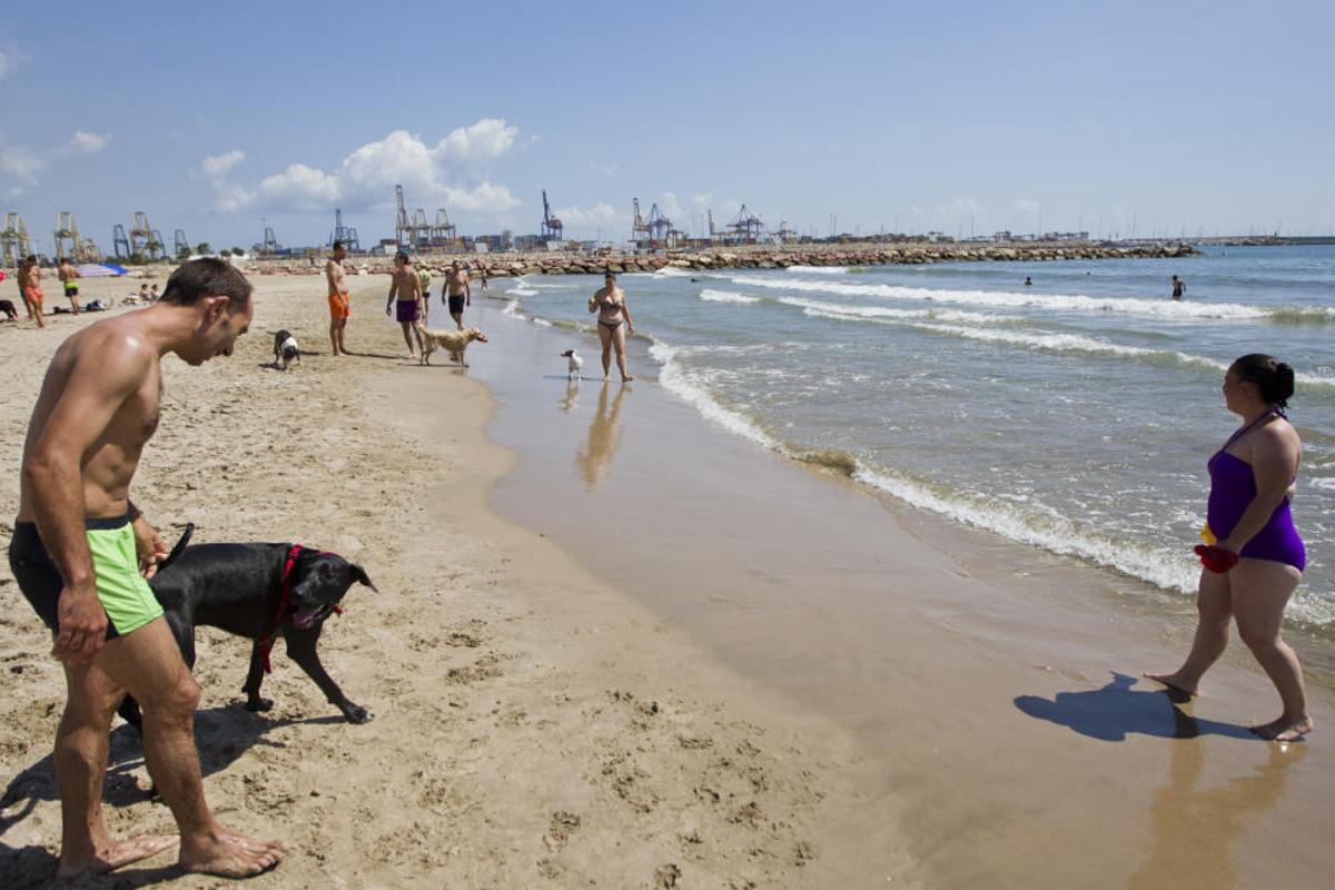 La playa para perros de Pinedo, a reventar
