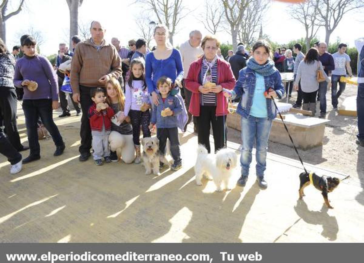 GALERÍA FOTOS: Castellón celebra Sant Antoni