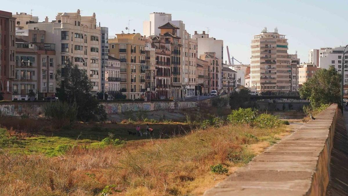 Aspecto del río Guadalmedina a su paso por la ciudad, en una imagen de archivo.