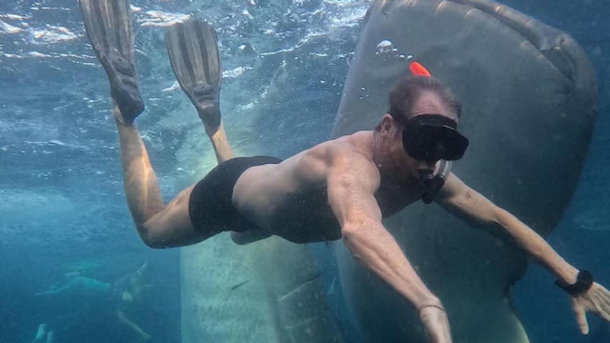 Pablo Motos nada junto a tiburones ballena durante sus vacaciones.