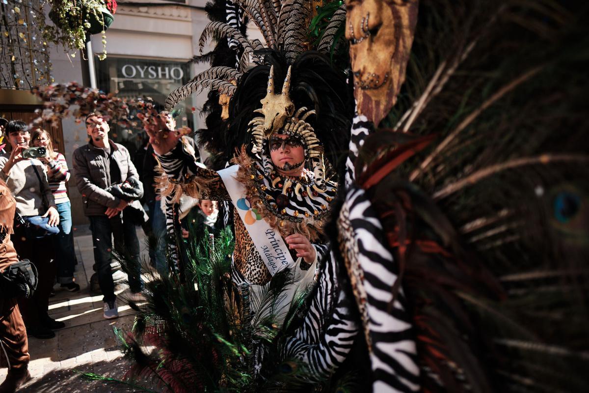 Carnaval de Málaga 2026 | Desfile Dioses y Animación