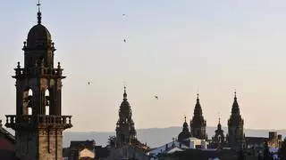 Explorando el cielo de Santiago: dos rutas para observar aves ideales durante el invierno