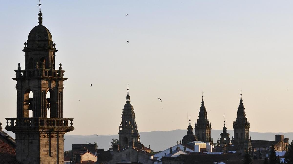 La ciudad de Santiago de Compostela es lugar de residencia de numerosas especies de aves, algunas de paso durante los pasos migratorios en invierno