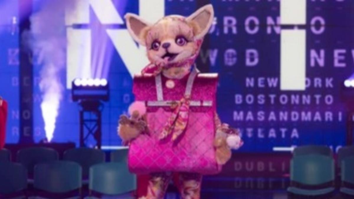 Begoña Villacís sorprende en 'Mask Singer' bajo la máscara de Chihuahua — image 6