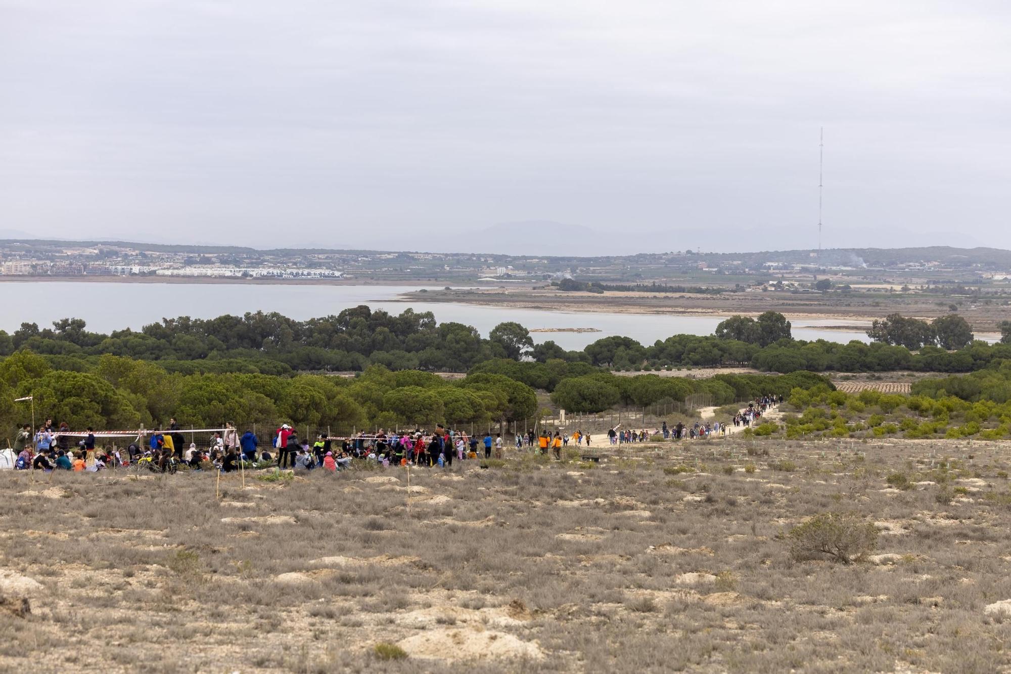 800 escolares se implican en la celebración del Día del Árbol con la plantación de especies autóctonas en torno a la laguna de La Mata de Torrevieja